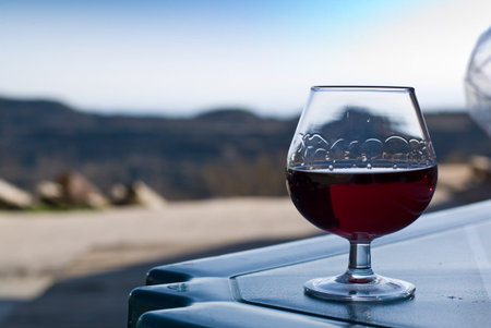 A glass of navarra patxaran (sloe-flavoured liqueur) at the degustation