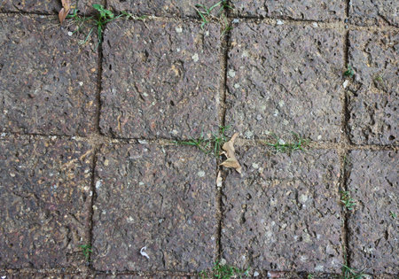 Stone road in garden 