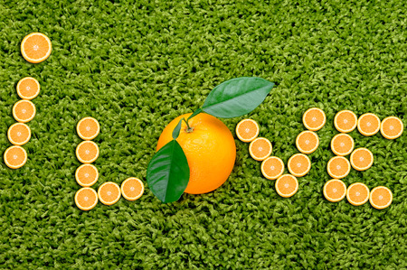Girls love Slices of Oranges orange tasteの写真素材