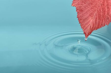Red leaf on water with waves and dropsの写真素材