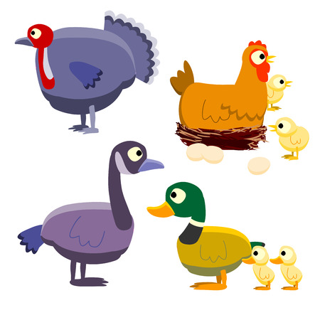 various birds cartoon vectorのイラスト素材