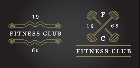 Set of Fitness Aerobics Gym Elements and Fitness Icons Illustrationのイラスト素材
