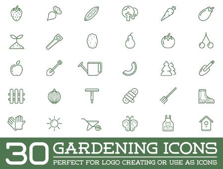 Set of Garden and Farm Elements and Fruits or Vegetables Icons Illustrationのイラスト素材
