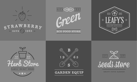 Set of Garden and Farm Elements and Fruits or Vegetables Icons Illustrationのイラスト素材