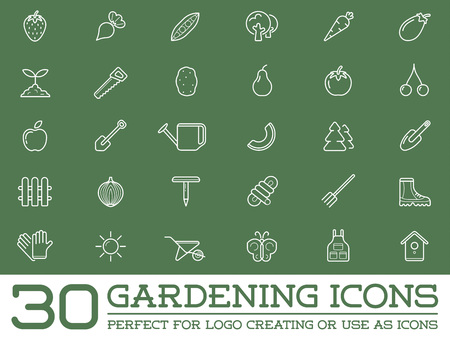 Set of Vector Garden and Farm Elements and Fruits or Vegetables Icons Illustration can be used as Logo or Icon in premium qualityのイラスト素材