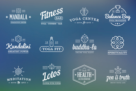 Set of Vector Yoga Zen Sport Elements and Fitness Healthy Illustrationのイラスト素材