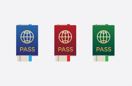 Set of Citizenship or Foreign Passport ID in Vector Colorful Iconのイラスト素材