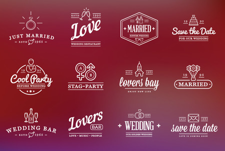 Set of Vector Wedding Love Elements Merry Me Illustrationのイラスト素材
