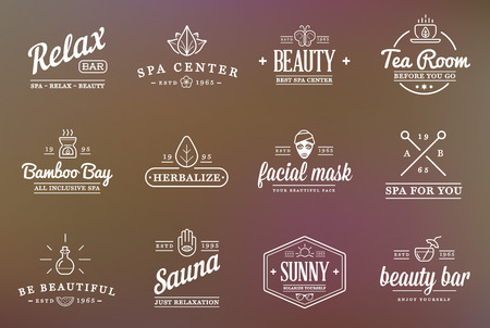Set of Vector Spa Beauty Yoga Sport Elements Illustrationのイラスト素材