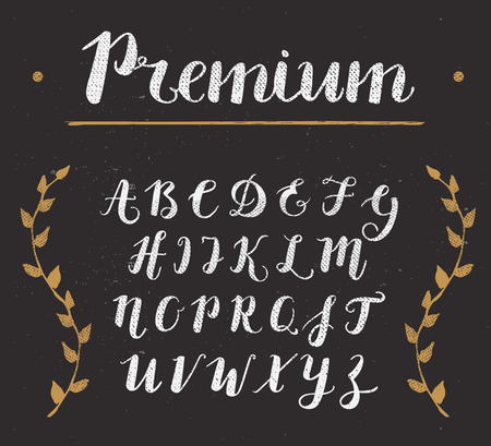 Vector Hand Drawn Script Alphabet. Letters Written with a Brush Pen with Inkのイラスト素材