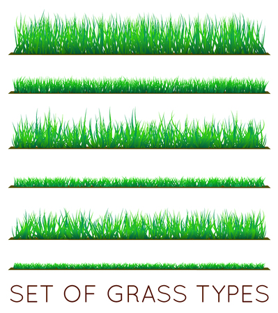 Set of Backgrounds Of Green Grass, Isolated On White Background, Vector Illustrationのイラスト素材