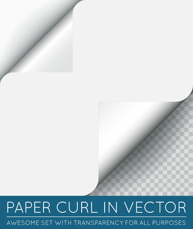 Vector Paper Page Curl with Shadow Isolated.のイラスト素材