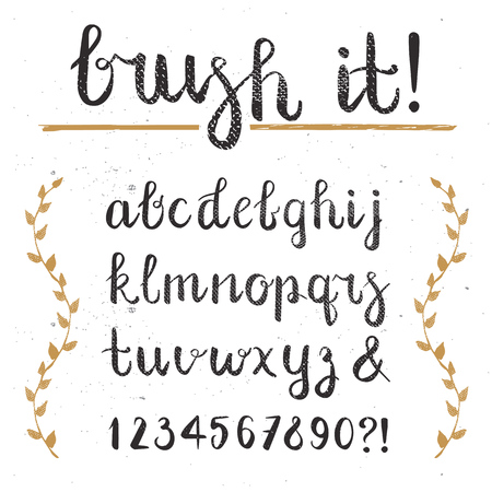 Vector Hand Drawn Script Alphabet. Letters Written with a Brush Pen with Inkのイラスト素材