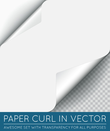 Vector Paper Page Curl with Shadow Isolated.のイラスト素材