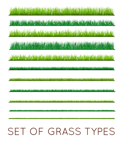 Set of Backgrounds Of Green Grass, Isolated On White Background, Vector Illustrationのイラスト素材