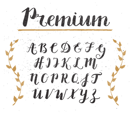 Vector Hand Drawn Script Alphabet. Letters Written with a Brush Pen with Inkのイラスト素材