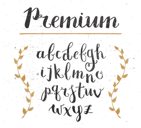 Vector Hand Drawn Script Alphabet. Letters Written with a Brush Pen with Inkのイラスト素材