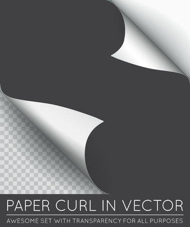 Vector Paper Page Curl with Shadow Isolated.のイラスト素材