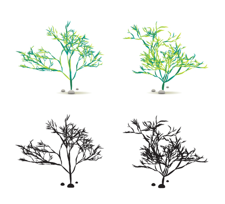 Seaweed Algae Hand Drawn Water Plant with Stones Set Isolated on White with Silhouette in Vectorのイラスト素材