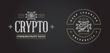 Set of Vector Cyber Security Identity Badges and Signs Can be used as Logotypeのイラスト素材