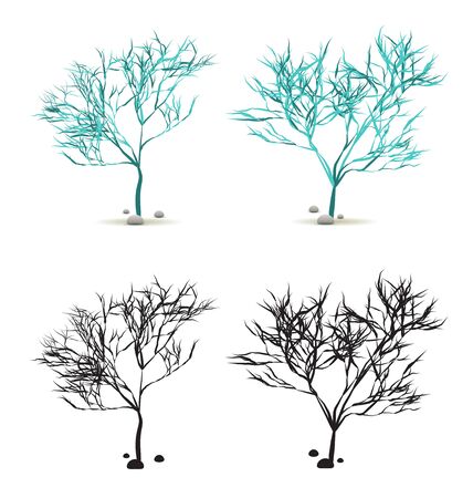 Seaweed Algae Hand Drawn Water Plant with Stones Set Isolated on White with Silhouette in Vectorのイラスト素材