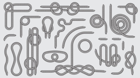 Big Set of Nautical rope knots vector decorative vintage elementsのイラスト素材