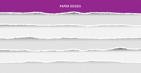 Set of Ripped and Torn Paper Stripes. Texture of Paper with Damaged Edge Isolated on Transparent background. Vector illustration.のイラスト素材