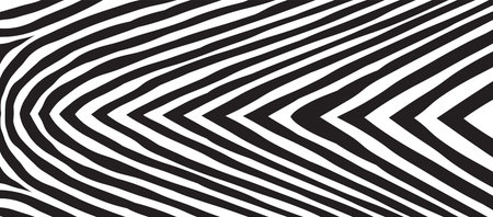 Wild Zebra Wave Pattern with black and white. Trendy Stylish Abstract Background.