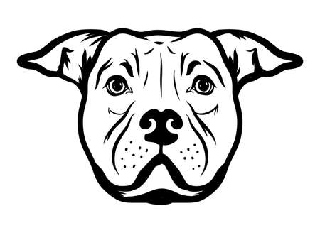 American Staffordshire bull Terrier dog isolated vector illustrationのイラスト素材