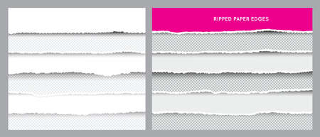 Double Set of Ripped and Torn Paper Stripes. Texture of Paper with Damaged Edge Isolated on Transparent background.のイラスト素材