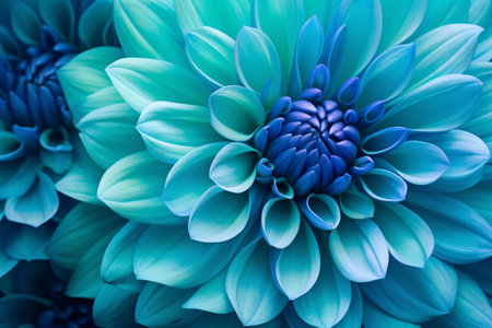 A macro shot of a blue-hued chrysanthemum with colourful spring and summer surroundings.の素材