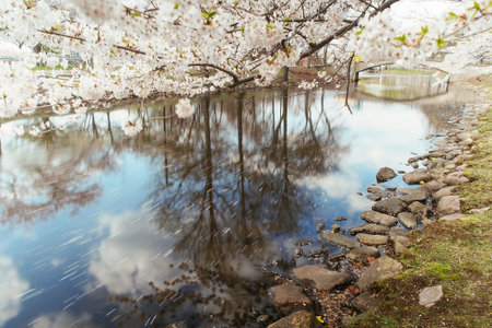 Charles River