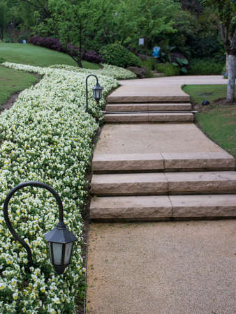 road in a residential areaの写真素材