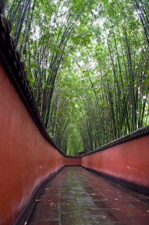 Path after the rain, bamboo behind the red wall. Shoot at Temple of Wuhou in Chengdu, China.の写真素材