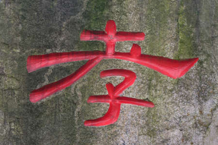 Chinese characters - filialの写真素材