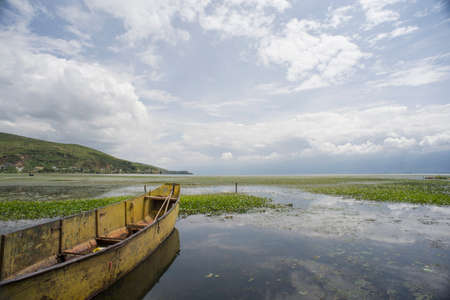 Wetland at Erhai lake, Dali, Chinaの写真素材