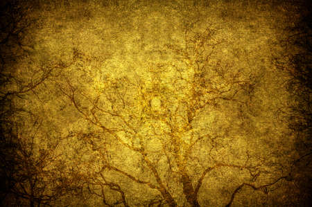 A grunge tree textured in the skyの写真素材