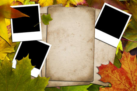 Papers and photos on a background of autumnal leavesの写真素材