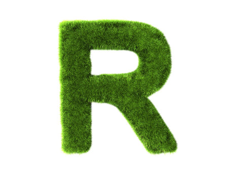 A grass r isolated on a white backgroundの写真素材