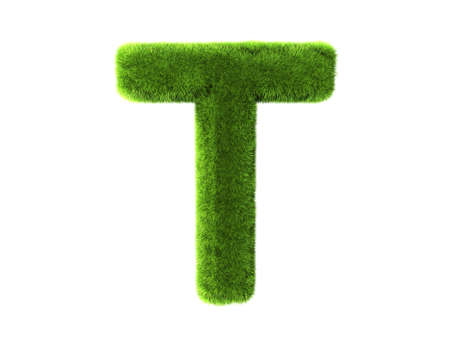 A grass t isolated on a white backgroundの写真素材