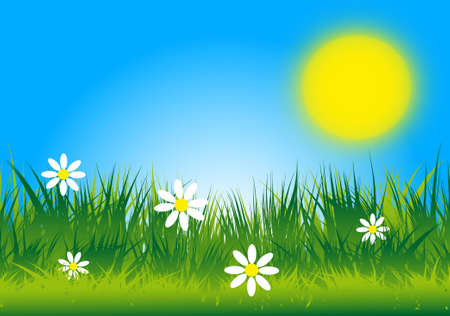 A sunny meadow vector image のイラスト素材