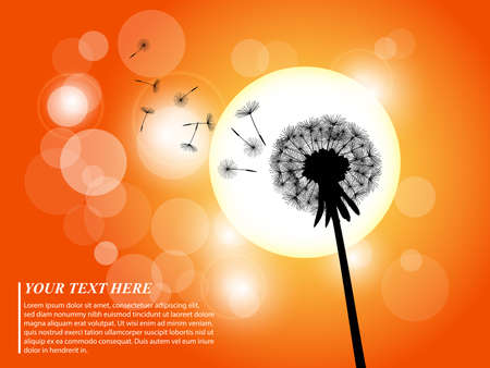 A silhouette of a dandelion in the sunsetのイラスト素材
