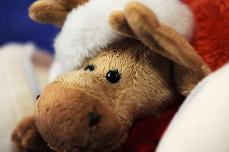 Deer - christmas toy weared christmas cap and scarfの写真素材
