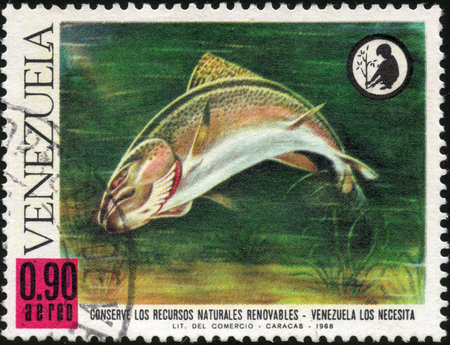 CIRCA 1968  A stamp printed in Venezuela showing Conserve los Recursos Naturales Renovables, circa 1968の写真素材