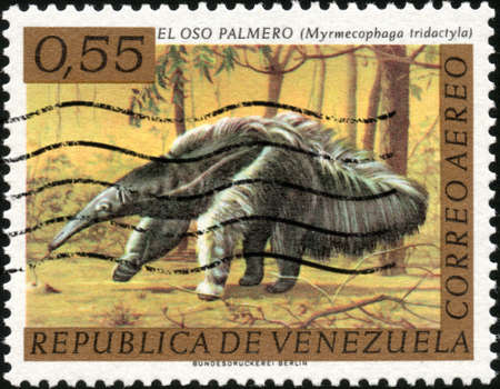 CIRCA 1963  A stamp printed in Venezuela showing a Myrmecophaga Tridactyla, circa 1963の写真素材