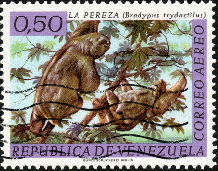 CIRCA 1963  A stamp printed in Venezuela showing a Bradypus Trydactilus, circa 1963