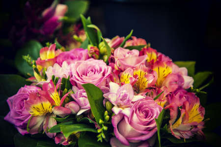 Beautiful colorful flowers in a garden shopの写真素材