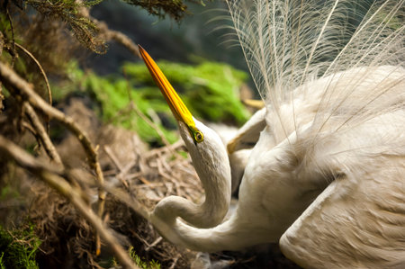 NEW YORK CITY - SEPTEMBER 13: The American Museum of Natural History with collections contain 32 million specimens, is one of the largest museums in the world. September 13, 2013 in Manhattan, New York City.のeditorial素材