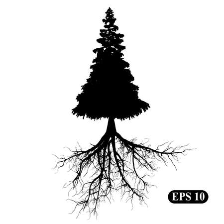 Silhouette of a tree with rootsのイラスト素材