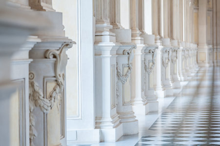 Gallery in a beautiful palace with sunlightの写真素材